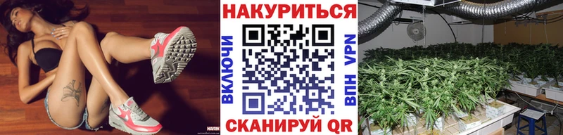 APVP Ефремов