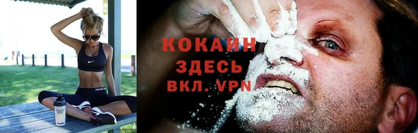 амф Верея