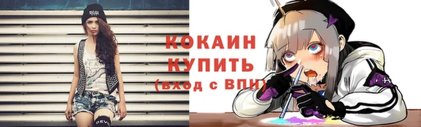 амф Верея