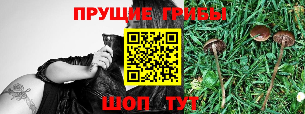 Ефремов  Галлюциногенные грибы ЛСД  Вход с VPN 