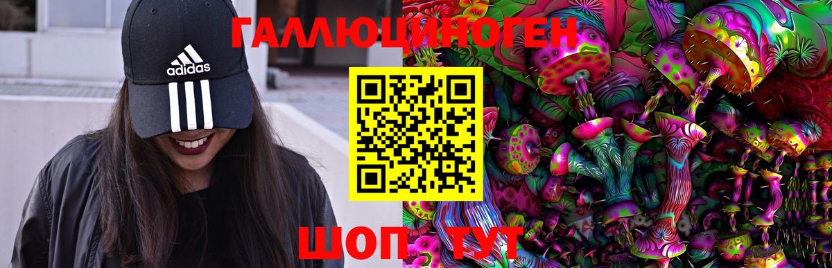 Псилоцибиновые грибы Psilocybe Ефремов